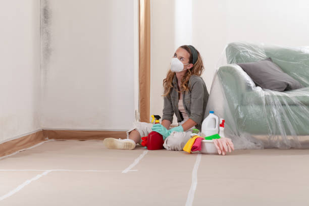 Reliable Basement Mold Removal contractor in Yorktown, VA by WQB Mold Removal
